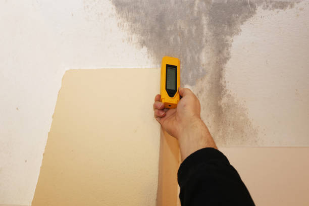 Best Commercial Mold Inspection  in Hasbrouck Heights, NJ