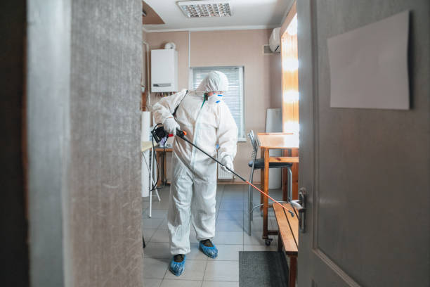 Best Post-Construction Mold Inspection  in Hasbrouck Heights, NJ