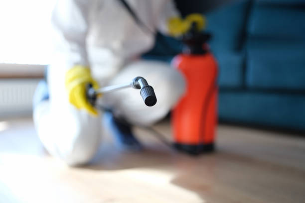 Best Biohazard Mold Removal  in Hasbrouck Heights, NJ