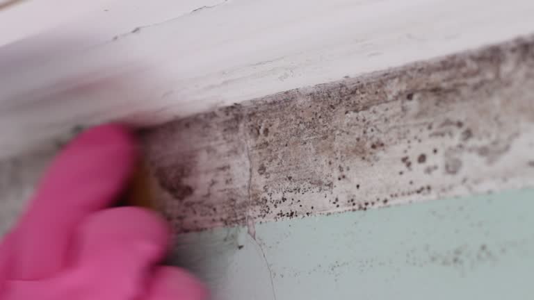 Best Airborne Mold Testing  in Hasbrouck Heights, NJ
